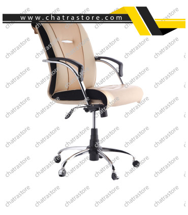 صندلی کارشناسی