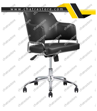 صندلی کارشناسی تیکاند