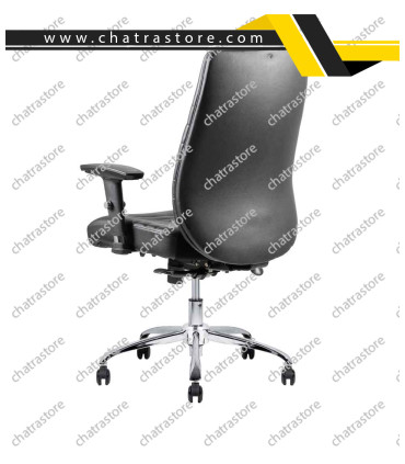 صندلی کارشناسی تیکاند