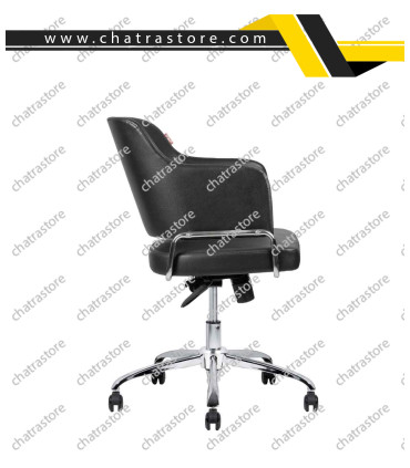 صندلی کارشناسی